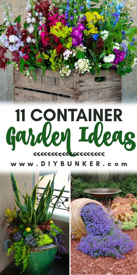 Xmas Cookie, Container Garden Ideas, Tattoo Plant, Cookie Boxes, Container Garden Design, Gardening Diy, Container Gardening Flowers, Garden Wallpaper, Outdoor Flowers