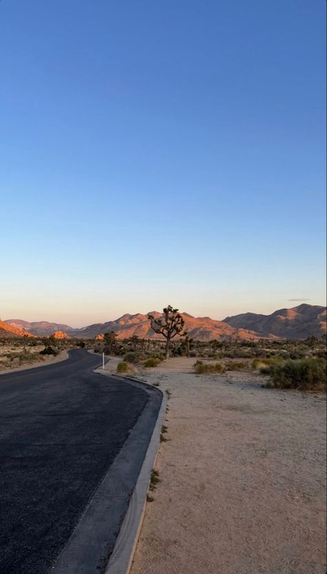 Arizona Aesthetic, America California, Yuma Arizona, Bullhead City, Beautiful Scenery Photography, In The Middle Of Nowhere, Desert Vibes, Middle Of Nowhere, California Travel Road Trips