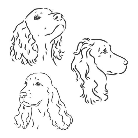 Graphics Black And White, Perro Cocker Spaniel, Cocker Dog, Dog Drawing Tutorial, Sprocker Spaniel, Dog Line Drawing, Dog Memorial Tattoos, Spaniel Art, Dog Line Art