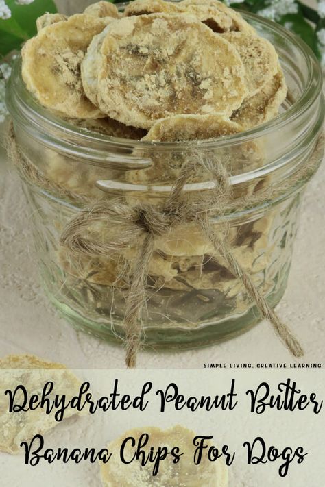 Dehydrated Banana Chips For Dogs, Dog Trail Mix Recipe, Dog Treats Dehydrator Healthy, Dehydrate Dog Treats, Dehydrated Dog Chews, Freeze Dry Dog Food, Homemade Dehydrated Dog Treats, Dehydrator Recipes For Dogs, Dehydrated Food For Dogs