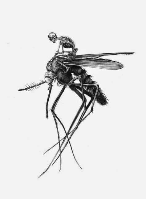 Insect Tattoo, Dark Art Tattoo, Desenho Tattoo, Insect Art, Dark Tattoo, Black Ink Tattoos, Creepy Art, Animal Sketches, Tattoo Design Drawings