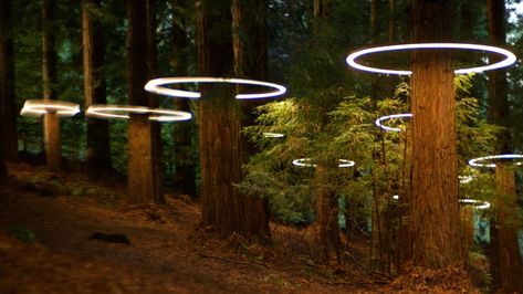 Form the Netflix series Devs Alex Garland, Forest Light, Redwood Tree, Fractal Patterns, Silicon Valley, Tree Lighting, Land Art, Landscape Lighting, Architectural Digest