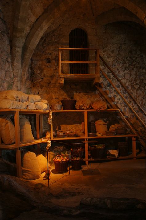 Castle Switzerland, Chillon Castle, Castles Interior, Medieval Houses, Medieval Life, Fantasy Places, Medieval Castle, Medieval Fantasy, Wine Cellar