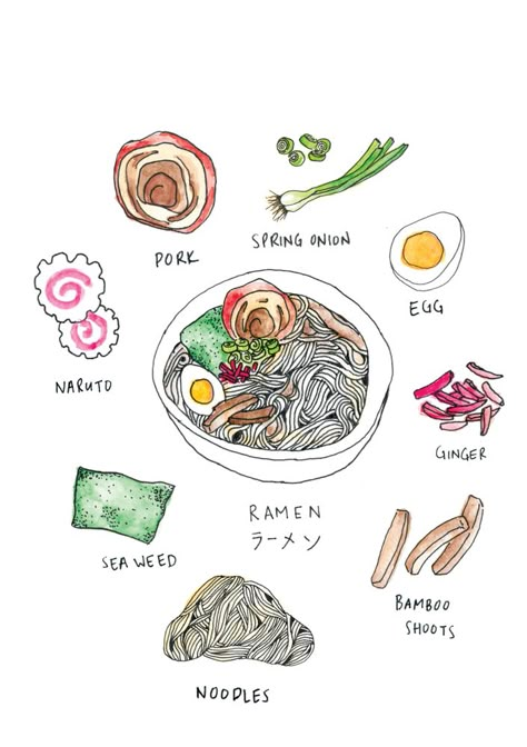 Ramen Ingredients Illustration, Ramen Drawing, Ramen Illustration, Ramen Art, Ramen Ingredients, Food Illustration Design, Ramen Bar, Recipe Drawing, Food Doodles