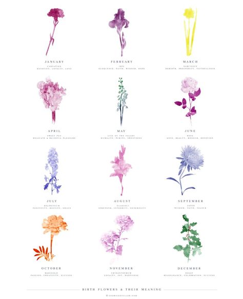 Birth month flowers Flowers Meanings, Tattoo Fairy, Crafts By Month, Behance Illustration, 16 Tattoo, Flower Tattoo Meanings, Shape Tattoo, Birth Flower Tattoos, Zodiac Tattoos