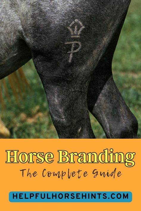 Horse branding allows horse owners to easily identify and prove ownership of their horses. Horse branding is using an iron tool to permanently ‘mark’ a horse with a specific ranch’s identifying symbol. Horse branding also helps ranch owners establish reputable horse lines that are easy to recognize. In this article, we will discuss the complete guide of horse branding. #design #logo #ideas #ideasdesign #tattoo #helpfulhorsehints Horse Branding, Design Logo Ideas, Livestock Branding, Custom Branding Iron, Riding Tips, Severe Burns, Horse Brand, Horse Riding Tips, Horse Ideas