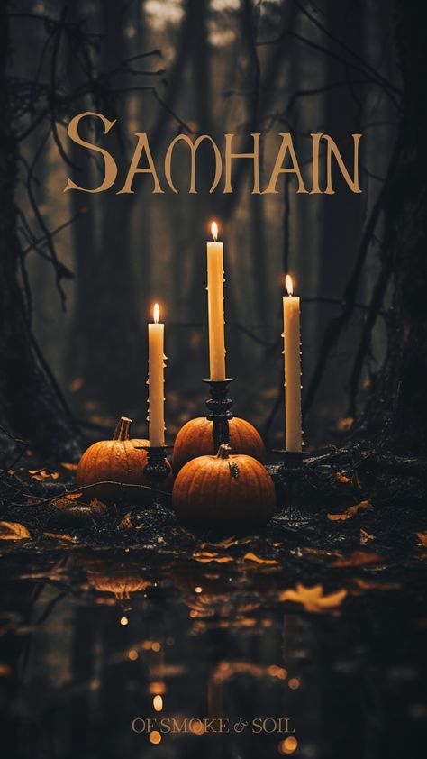 Blessed Samhain Quotes, Happy Samhain Witches, Happy Samhain Quotes, Happy Samhain Pictures, All Hallows Eve Aesthetic, Samhain Aesthetic Wallpaper, Samhain Pictures, Samhain History, All Hallows Eve Catholic