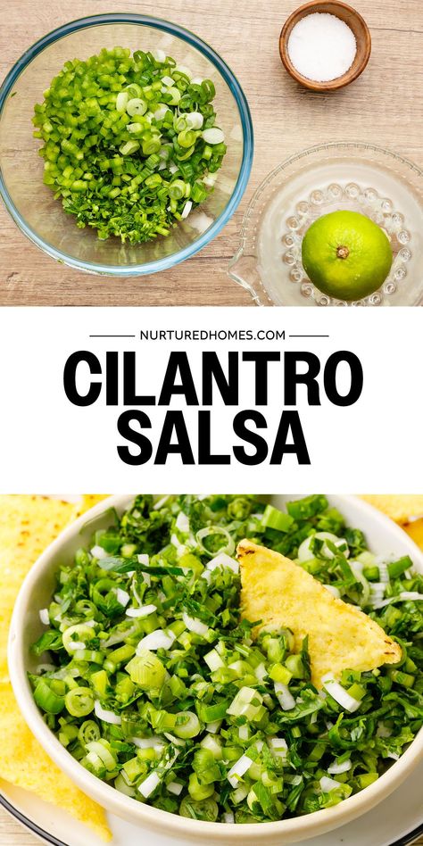 This easy fresh cilantro salsa is incredible with chips, tacos, grilled meats and seafood, and is made with just a couple simple ingredients. Cilantro Recipes Ideas Dinners, Cilantro Salsa Recipe, Recipes With Cilantro, Cilantro Lime Quinoa, Cantaloupe Smoothie, Quick Salsa, Cantaloupe Recipes, Savory Dips, Cilantro Salsa