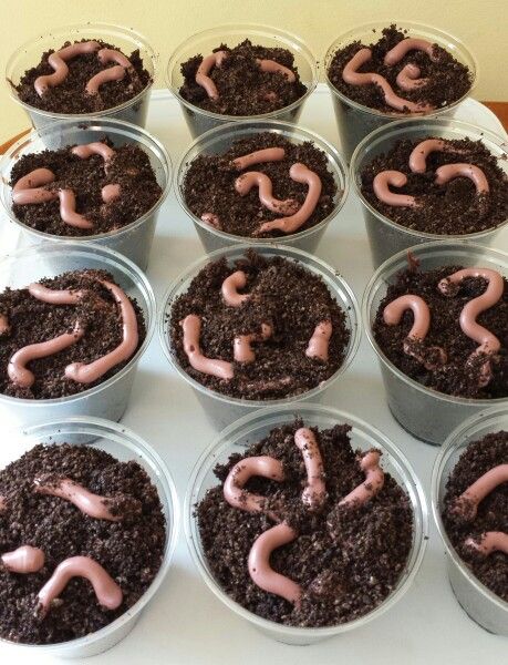 Dirt Cake Cups with Worms Halloween Worms In Dirt, Dirt And Worms Dessert, Halloween Vegetables, Chocolate Dirt Cake, Worm Cake, Mascarade Ball, Dirt Cake Recipes, Father's Day Cake, Creepy Halloween Food