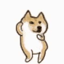 Doge Gif, Doge Dog, Funny Animal Images, Dog Tumblr, Doge Meme, Funny Stickman, Dog Animation, Dog Skeleton, Dog Movies