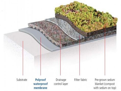 Image below shows an extensive green roof section (sedum finish) low maintenance. Description from tuff-roofing.co.uk. I searched for this on bing.com/images Green Roof Design, Extensive Green Roof, Brown Roofs, Green Roof Building, Sedum Roof, Landscape Architecture Graphics, Plan Elevation, Green Roof System, Storm Water