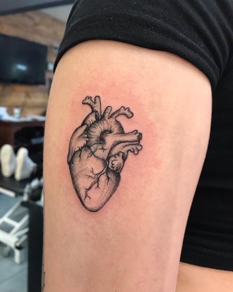 Heart Surgery Tattoo, Surgery Tattoo, Medical Tattoos, Human Heart Tattoo, Human Heart Art, Realistic Heart Tattoo, Tattoos Inspos, Anatomical Heart Tattoo, Medical Tattoo