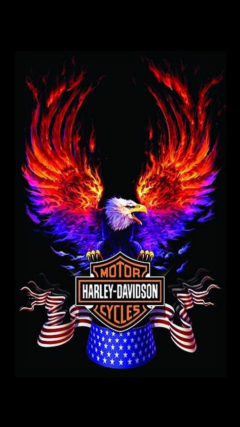 Hd 883 Iron, Harley Davidson Decals, Harley Tattoos, Harley Davidson Images, Harley Davidson Posters, Harley Davidson Helmets, Harley Davidson Pictures, Harley Davidson Signs, Harley Davidson Artwork