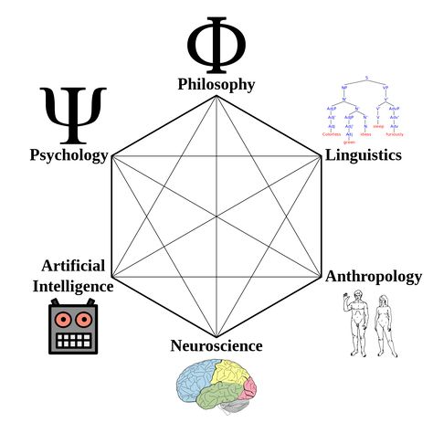 Cognitive science - Wikipedia Continental Philosophy, Cognitive Psychology, Cognitive Science, Science Worksheets, Human Mind, Sociology, Neuroscience, Anthropology, Emotional Intelligence