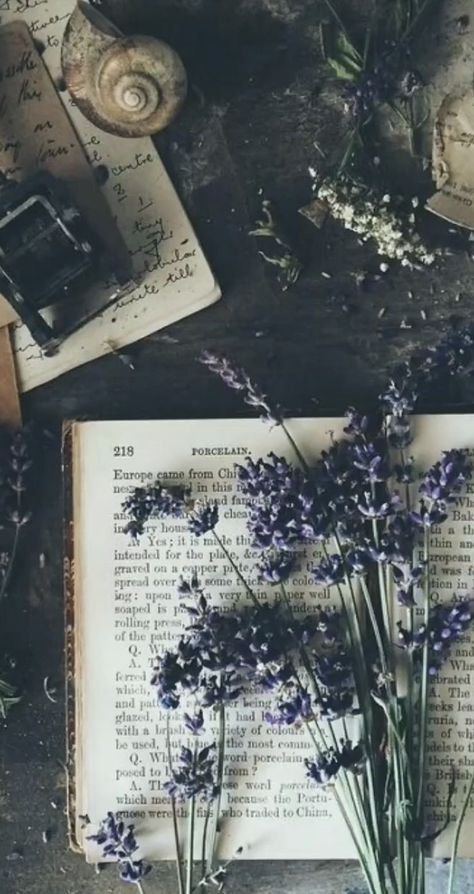 Alyssacore Aesthetic, Old Diary, S Aesthetic, Book Flowers, Book Wallpaper, Search Bar, Fantasy Aesthetic, Online Group, + Core + Aesthetic