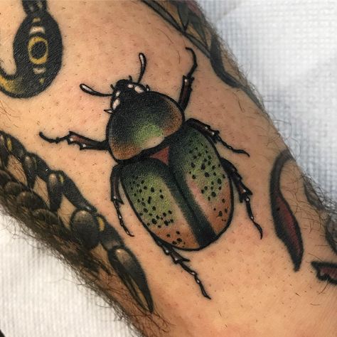 Patrick Whiting shared a photo on Instagram: “Fun little beetle on @hoesweff ! Thanks dude” • See 756 photos and videos on their profile. Beetle Tattoos, Beetle Tattoo, Traditional Tattoo Designs, Bug Tattoo, Insect Tattoo, Aesthetic Tattoo, Tattoo Flash Art, American Traditional Tattoo, American Traditional