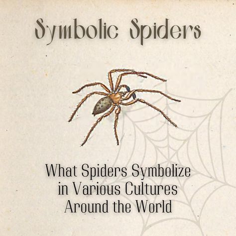 Spider Names, Cool Spiders, Spider Symbolism, Beautiful Spiders, Spider Fact, Ritual Sacrifice, Get Rid Of Spiders, Goddess Names, Goddess Symbols