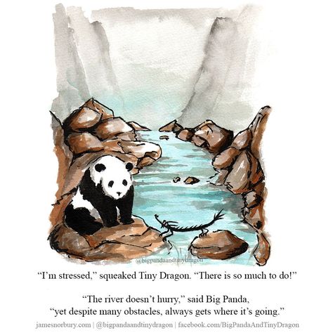 What would our week be without a Big Panda and Tiny Dragon! 💡 “Despite many obstacles, the river always gets to where it is going – without any hurrying!” 🔥 It doesn’t matter if you meander – you will get where you need to be when you need to be there. #trainerandcoach #businesscoach #effectivecommunication #challengeyourself #believeyoucandoit Big Panda And Tiny Dragon, Dragon Quotes, Big Panda, Small Dragon, Tiny Dragon, Little Dragon, Philosophy Quotes, Amazing Quotes, Psych