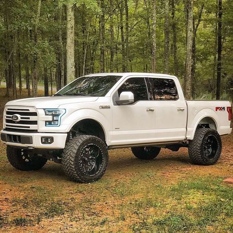 2015 Ford F150 equipped with a Fabtech 6" Lift Kit Ford F150 Lifted, F150 Lifted, Lifted Ford Truck, Ford F150 Custom, Ford F150 Fx4, Diesel Pickup Trucks, Chevy 4x4, 2015 Ford F150, Ford Trucks F150