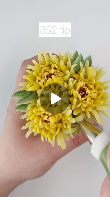 Kirsty on Instagram: "A trio of petty buttercream chrysanthemums for this gloomy Friday. Did you have a chance to read our mini cupcake bouquet how to blog and watch the video? If so I hope you enjoyed it ♥️ #cupcakequeen
#buttercreamcupcakes #cupcakebouquet
#floralpiping #cupcakebouquetsofinstagram 
#buttercreamflowers #cupcakeart
#cupcakesofinstagram #cakedecorating
#floralcake #cupcakes #cupcakedesign
#cakeart #flowerpiping 
#cakedesign #cupcakeoftheday
#cupcake #cakeideas
#cakelove #cakedecorator #cupcakebouquet 
#handpipedflowers #pipingflowers #pipingskills 
#pipedflowers #pipingtutorial #buttercreamflowertutorial 
#cupcaketutorial #cupcakes #buttercreamchrysanthemum" Piping Sunflowers Flower Cupcakes, Fall Cupcake Ideas Decoration, Fall Flower Cupcakes, Mini Cupcake Bouquets, Cop Cake, Cupcake Arrangements, Cupcake Decorating Techniques, Buttercream Flowers Tutorial, Cupcake Flower Bouquets