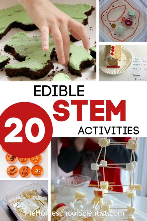 Edible STEM Activities for kids #stemeducation #homeschool #scienceexperiment Food Projects For School, Steam Activities With Food, Edible Stem Activities Elementary, Food Activities For Middle Schoolers, Stem Baking Activities, Stem Themed Snacks, Fun Edible Crafts For Kids, Kitchen Stem Activities, Cooking Stem Activities