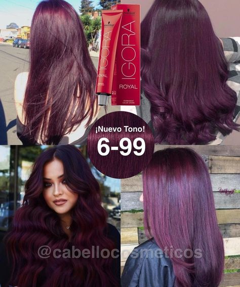 Trendy Brunette Hair, Hair Colors For Summer, Pelo Color Borgoña, Pelo Color Vino, Burgundy Hair Dye, Hair Color Swatches, Wine Hair Color, Hair Color Plum, Plum Hair