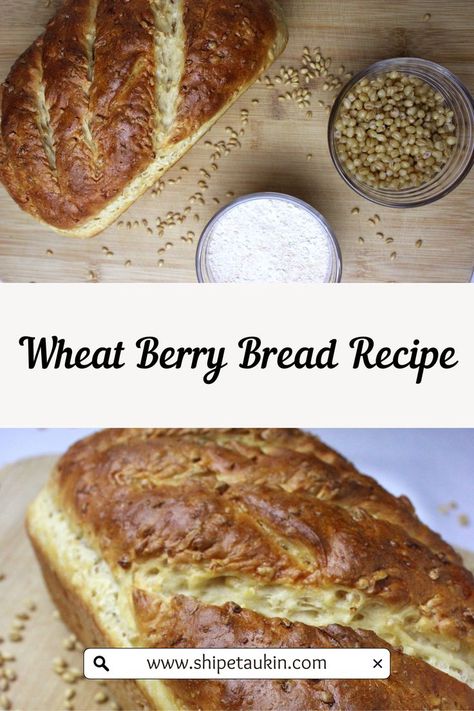 Wheatberry Bread Recipe, Hard White Wheat Berries Recipes, Soft White Wheat Berries Recipes, Hard Red Wheat Bread Recipe, Wheat Berries Recipe, Wheatberry Recipes, Berry Bread Recipe, Wheat Berry Bread Recipe, Wheat Berry Bread