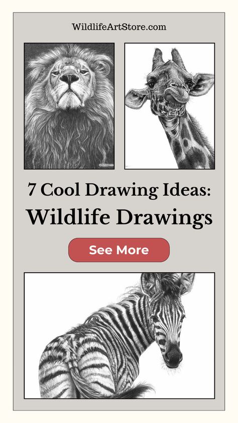 Wildlife Drawings: 7 Cool Drawing Ideas Animal Sketches Realistic Pencil Art, Cool Animal Drawings, Wildlife Drawings, Wildlife Drawing, Cool Drawing Ideas, Realistic Animal Drawings, Beautiful Pencil Drawings, Pencil Creative, Cool Drawing