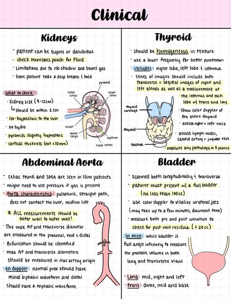 Heart Notes Biology, Pediatric Notes, Doctor Knowledge, Anatomy And Physiology Notes Study, Medic School, Notes Layout, Nursing School Studying Cheat Sheets, Nursing School Inspiration, Learn Biology