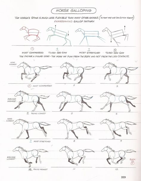 Run Cycle Reference, Horse Running Drawing, Animation Cycle, How To Draw Horses, Horse Drawing Tutorial, Running Drawing, Horse Animation, Horse Art Drawing, Walk Cycle