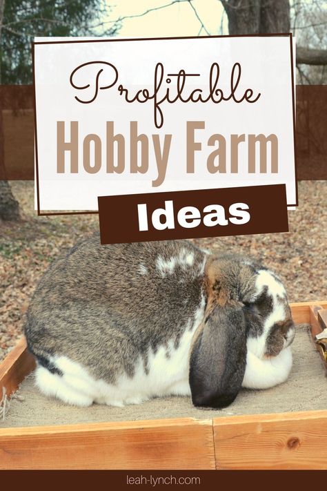 Hobby Farm Ideas, Hobby Farms Layout, Moderne Pools, Micro Farm, Backyard Design Ideas Budget, Small Backyard Design Ideas, Farm Plans, Homestead Farm, Farm Layout