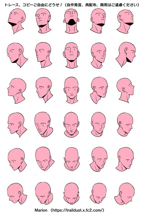 Head Anatomy, Drawing Face Expressions, 얼굴 드로잉, Výtvarné Reference, Face Drawing Reference, 얼굴 그리기, Human Anatomy Art, Body Reference Drawing, Sketches Tutorial