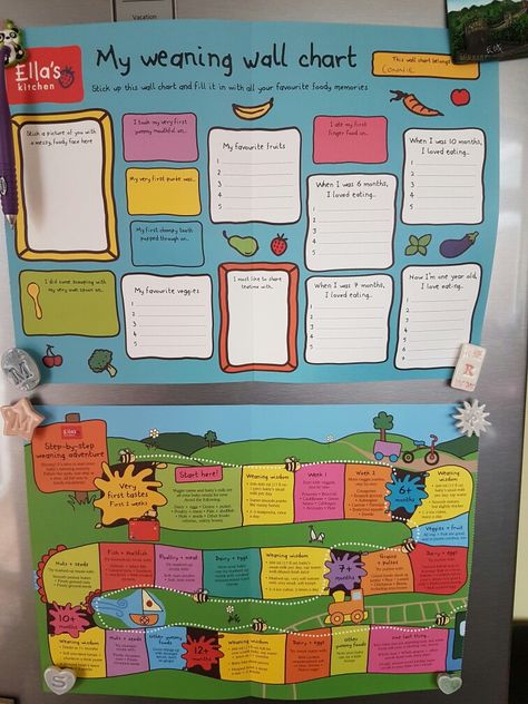 Ellas kitchen weaning wall chart Ellas Kitchen Recipes, Weaning Chart, Ellas Kitchen, Weaning Toddler, Baby Food Chart, Food Chart, Childrens Meals, Healthy Baby Food, Baby Boy Room Decor