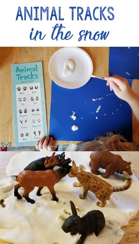 Animal Tracks in the Snow preschool activities to learn about Sights and Sounds of Winter. #MotherGooseTime #MGTblogger #preschoolcurriculum #preschool #winteractivities #SightsandSounds Snow Preschool Activities, Snow Preschool, Winter Animals Preschool, Arctic Animals Activities, Hibernation Activities, Arctic Animals Preschool, Snow Tracks, Winter Animal Crafts, Winter Theme Preschool