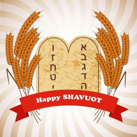 Happy Shavuot Hebrew Holidays, Happy Sukkot, Fruits Vector, Wheat Harvest, Church Banners Designs, The Torah, Hebrew Alphabet, Jewish Girl, Fruit Vector