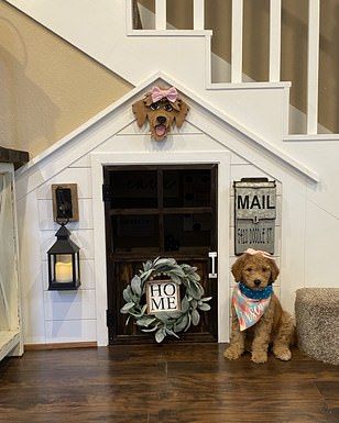 Home | Daily Mail Online Under Stairs Dog House, Dog Nook, Luxury Dog House, Luxury Dog Kennels, Luminaria Diy, تحت الدرج, Dog Room Decor, Dog Bedroom, Indoor Dog House