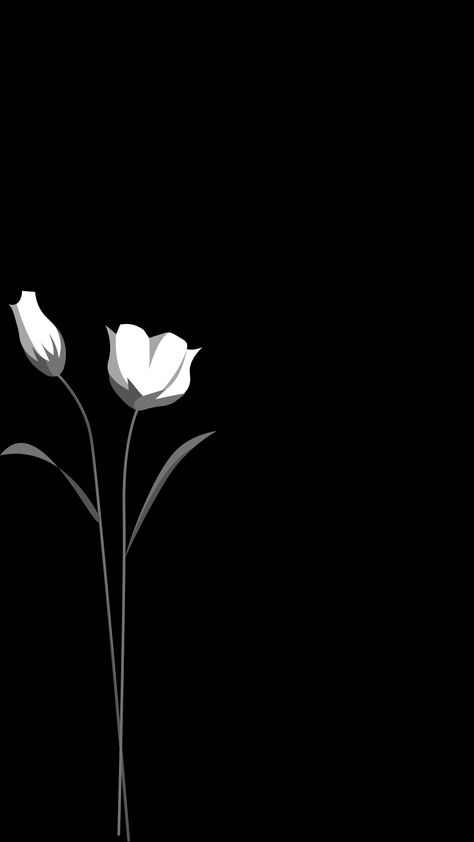 Black Tulips Wallpaper Iphone, Lock Screen Wallpaper Tulips, Dark Tulips Wallpaper, Black Tulips Aesthetic Wallpaper, Lock Screen Wallpaper Aesthetic Black And White, Black Lock Screen Wallpaper Aesthetic, Hd Homescreen Wallpaper, Black Home Screen Wallpaper Aesthetic, Home Screen Photos