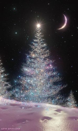 Glitter Christmas GIF - Glitter Christmas Tree - Discover & Share GIFs Christmas Aesthetic Friends, Christmas Tree Gif, Geya Shvecova, Štědrý Den, Wallpaper Natal, Christmas Tree Wallpaper, Merry Christmas Gif, Foto Langka, Merry Christmas Pictures