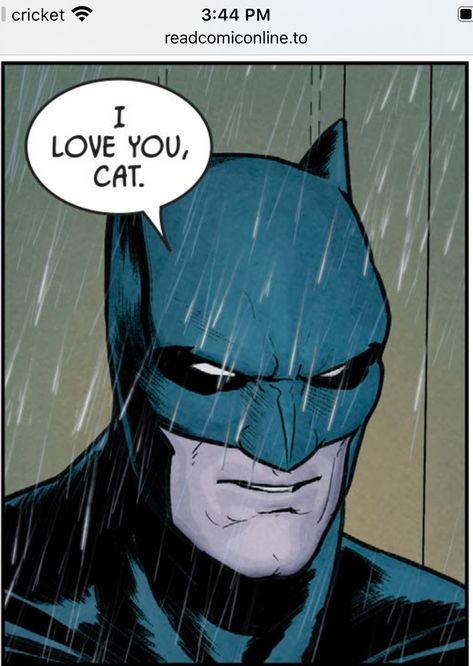 Batman Comics Panels, Batman Comic Funny, Batman Aesthetic Comic, Batcat Aesthetic, Literally Me Characters Icon, Funny Batman Pictures, Batman Comic Panels, The Bat And The Cat, Batman Icon