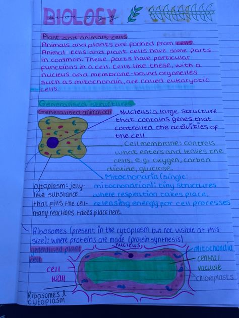 Animal Cell Notes, Plant Cell Drawing, Cell Definition, Biology Plants, Animal Cells, Nurse Study, Physics High School, Plant And Animal Cells, Eukaryotic Cell