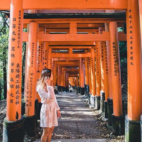 Osaka Photoshoot, Tokyo Outfits, Japan Ootd, Japan Travel Photography, Fushimi Inari Shrine, Inari Shrine, Travel Pose, Fushimi Inari, Tokyo Japan Travel