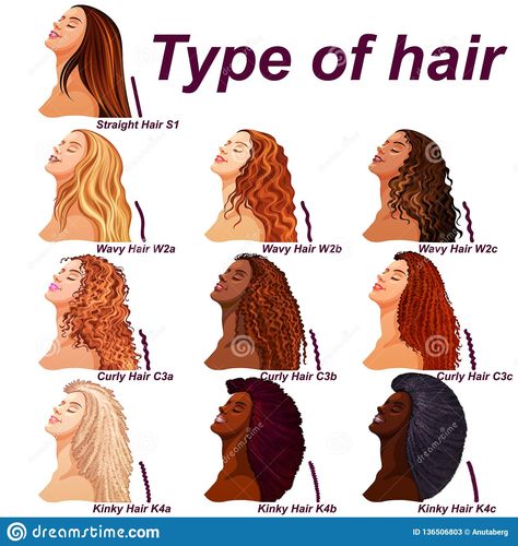 Hair Types Chart, Hair Type Chart, Hairstyle Names, Download Hair, Fesyen Rambut, Curly Hair Types, Types Of Hair, Different Hair Types, Game Day Hair