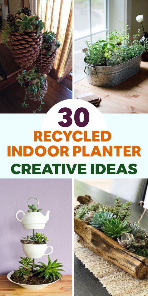 Explore sustainable living by incorporating greenery into your indoor space with these innovative upcycled indoor planter concepts. Repurpose unused mason jars or tin cans by sanitizing them and layering rocks at the bottom for proper drainage. Fill them with enriched soil and cultivate your preferred herbs or petite houseplants. To add a distinctive touch, transform old teacups or coffee mugs into planters by creating drainage holes at the base. Upcycled Planters Indoor, Diy Planters Indoor Creative, Old Mason Jars, Diy Entry Table, Repurposed Planter, Plastic Bottle Planter, Mason Jar Herb Garden, Upcycled Planter, Tin Planters