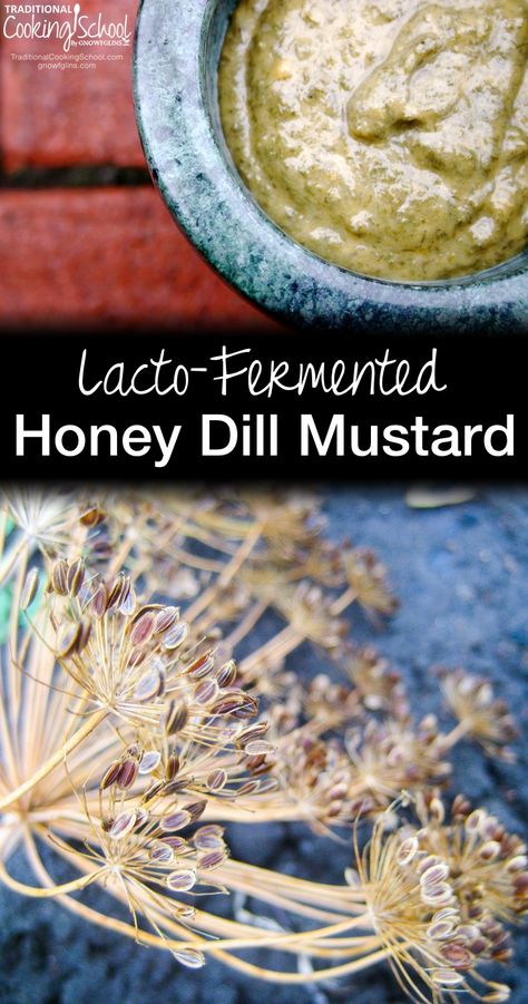 Dill Mustard Recipe, Fermented Condiments, Fermented Mustard, Lacto Fermentation, Lacto Fermented, Homemade Mustard, Fermented Honey, Mustard Recipe, Traditional Cooking