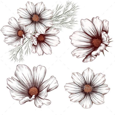 Lovely White Cosmos Flowers, Summer Field Flowers Field Flowers Wedding, White Cosmos Flowers, Flowers Cosmos, Cottage Drawing, Cosmos Tattoo, Grace Tattoos, White Cosmos, Flower Tat, White Cosmo