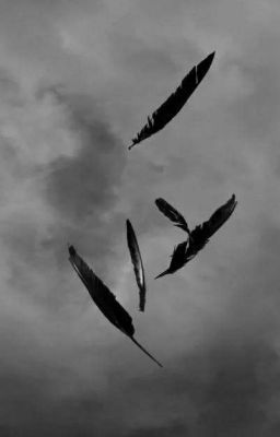 Grey Wings Aesthetic, Black Dove Aesthetic, Man With Wings Aesthetic, Black Feather Aesthetic, Gryphon Aesthetic, Black Feathers Aesthetic, Wings Astethic, Hexblade Warlock Aesthetic, Dark Wings Aesthetic