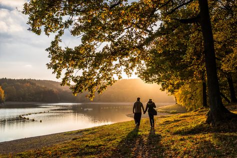 couple walking on side of the river #Autumn #Evening #couple walking on on side #river #Nordrhein-Westfalen #Deutschland #DE #Schalksmühle #outdoor Canon  EOS  70D #landscape #water #lake #leaf #leafs #tree forest  people #path #fall #recreation #nature #outdoors #men #people #forest #women couple - Relationship #love #togetherness two People #romance #5K #wallpaper #hdwallpaper #desktop Angel Falls Venezuela, After Forever, Autumn Evening, Couple Walking, Time Lapse Photography, Dj Snake, Couples Walking, Water Pond, Forest Illustration