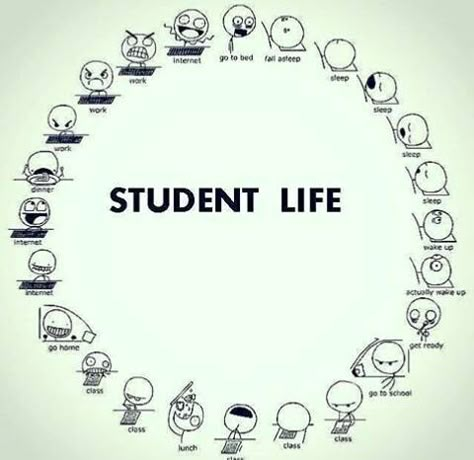 Boring Class Quotes, Study Pictures Student Life, Student Life Funny, Danny Green, Exams Funny, Funny School Pictures, Exam Quotes, Desain Quilling, Funny Texts Jokes