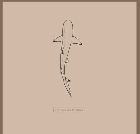 Basic Shark Tattoo, White Tip Shark Tattoo, Simple Aquatic Tattoo, Tiger Shark Tattoo Simple, Ocean Inspired Spine Tattoos, Nurse Shark Tattoo Simple, Angel Shark Tattoo, Oceanic White Tip Shark Tattoo, Aesthetic Shark Drawing