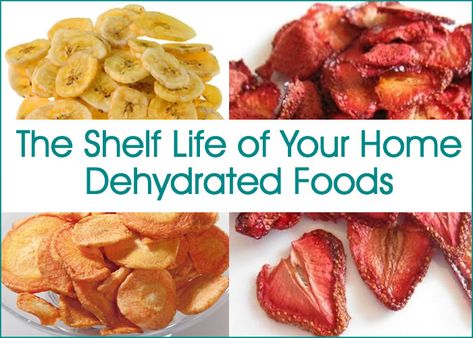 The Shelf Life of Your Home Dehydrated Foods Dehydrator Recipes Fruit, Dehydrating Food Storage, Healthy Fruit Snacks, Food Shelf Life, Dehydrated Foods, Dehydrated Vegetables, Dried Fruit Snacks, Freeze Dried Fruit, Dehydrated Fruit